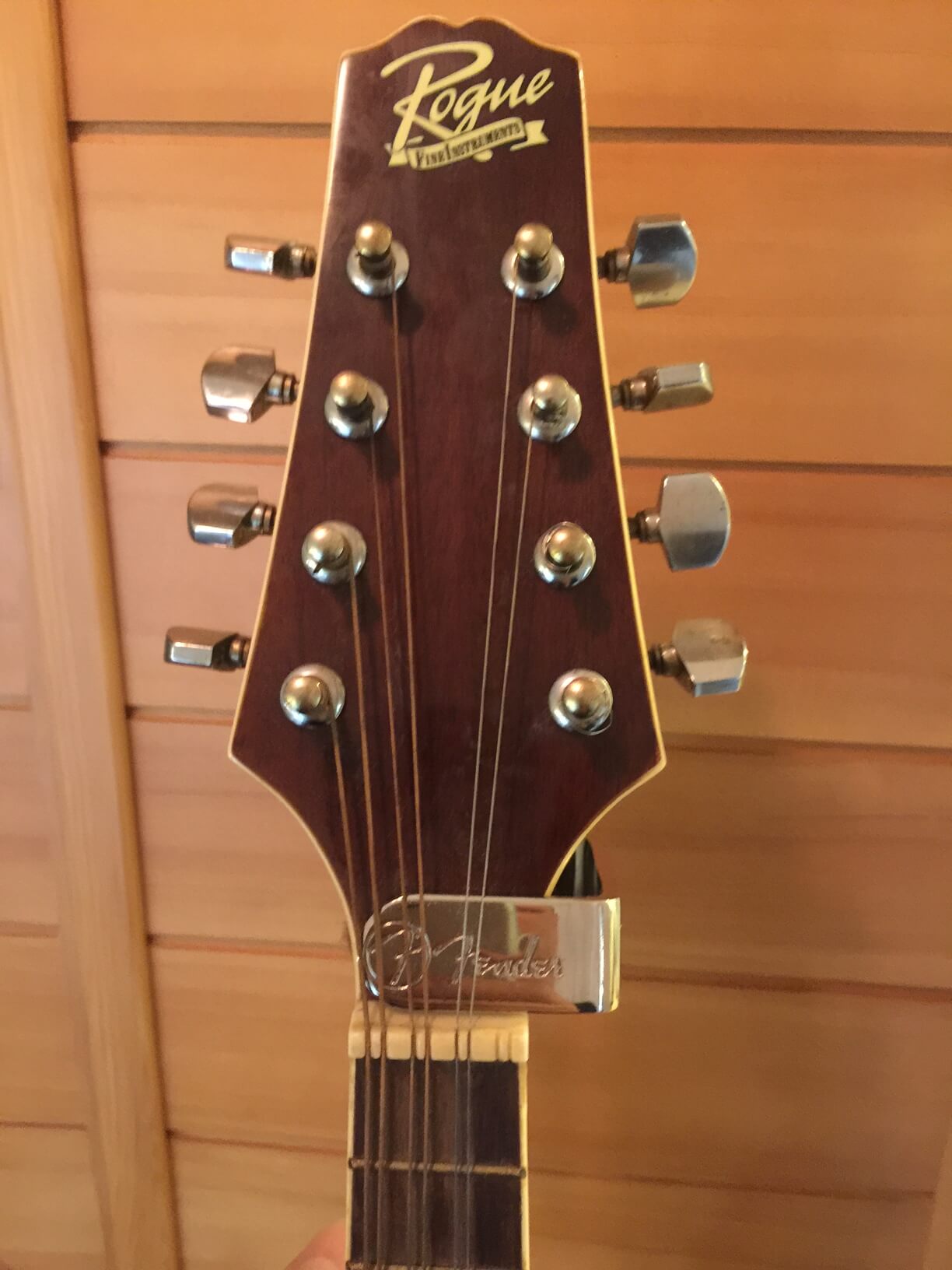 Fender Fatfinger – Greg Kocis