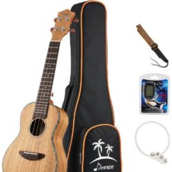 Donner Concert Ukulele Zebrawood Set Review-Pin